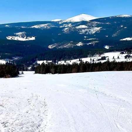 Chalet Horska Rychnovska Bouda U Skiarealu Horní Malá Úpa