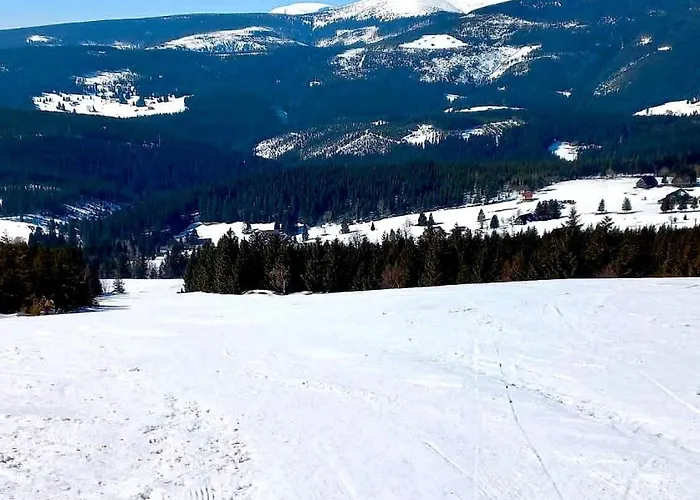 Chalet Horska Rychnovska Bouda U Skiarealu Horni Mala Upa
